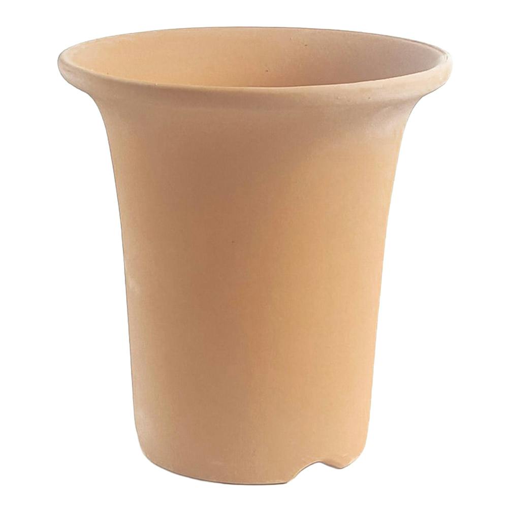 スヤキランバチ 6号