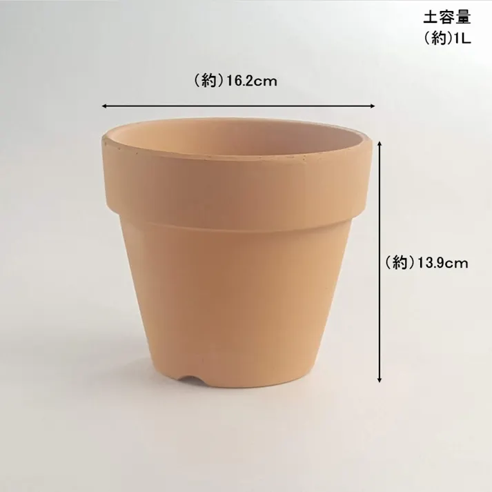 スヤキバチ 5号