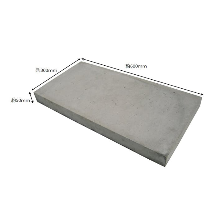 コンクリート平板 大 30×60×5cm