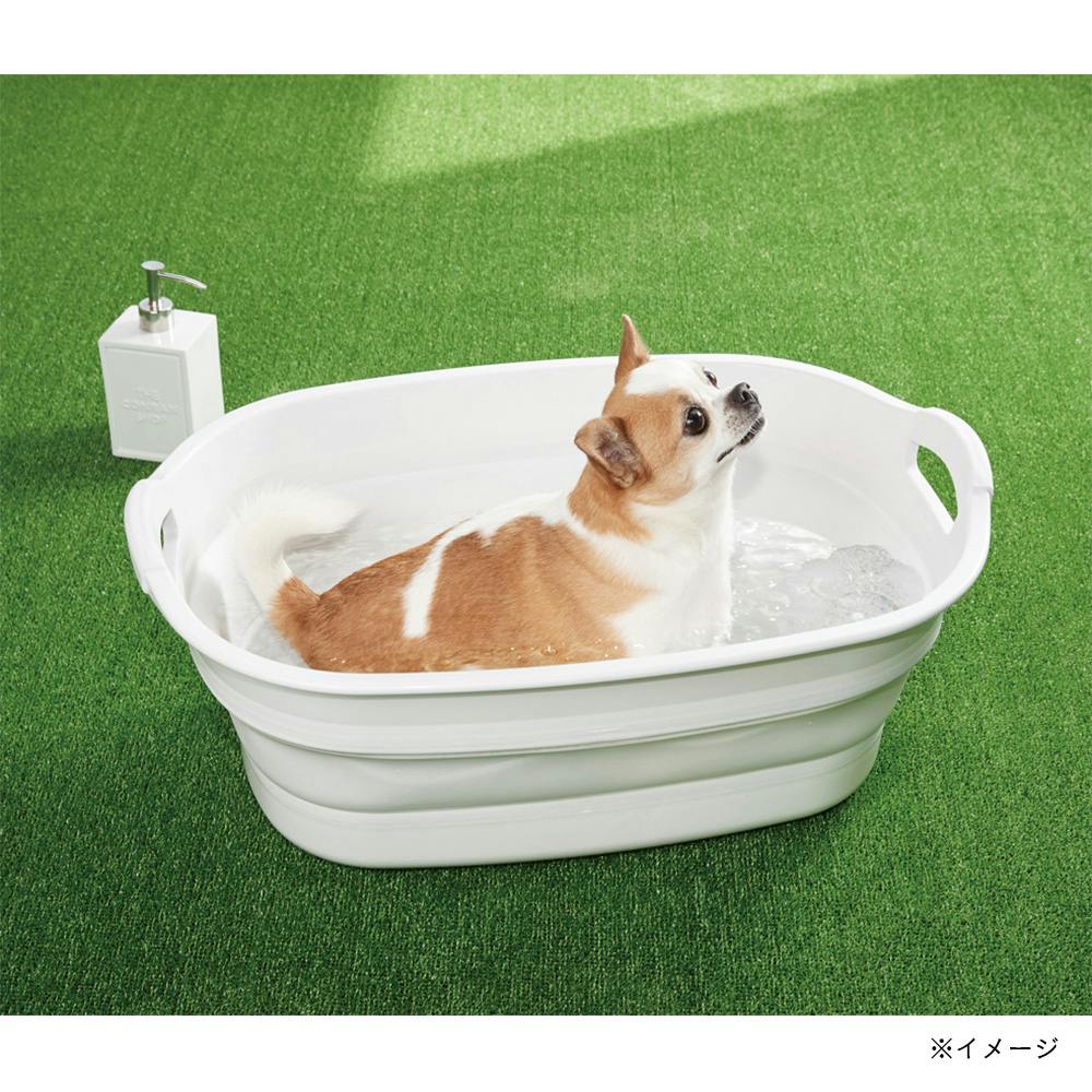 ソフトタブ ワイド ホワイト | ペット用品(犬) 通販 ソフトタブ ワイド ホワイト | ペット用品(犬) 通販