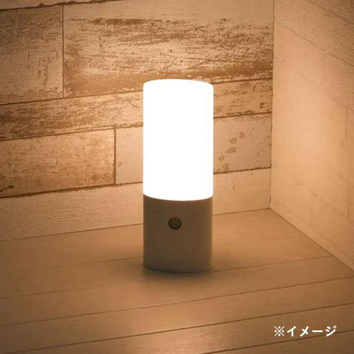 持ち運べるあかりセンサーライト 幅7cm NBSML60WH