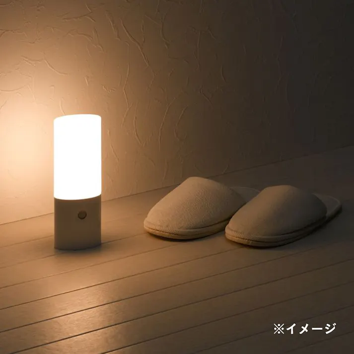 持ち運べるあかりセンサーライト 幅7cm NBSML60WH