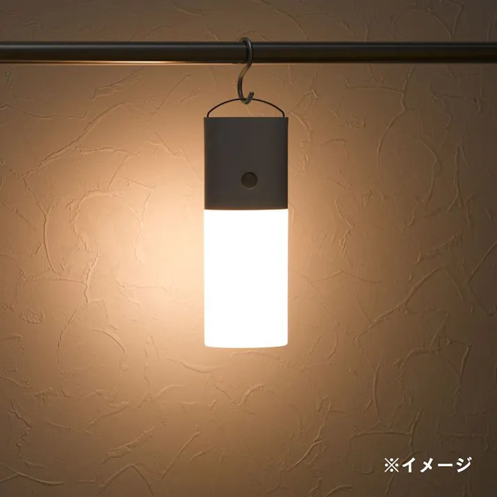 持ち運べるあかりセンサーライト 幅7cm NBSML60WH