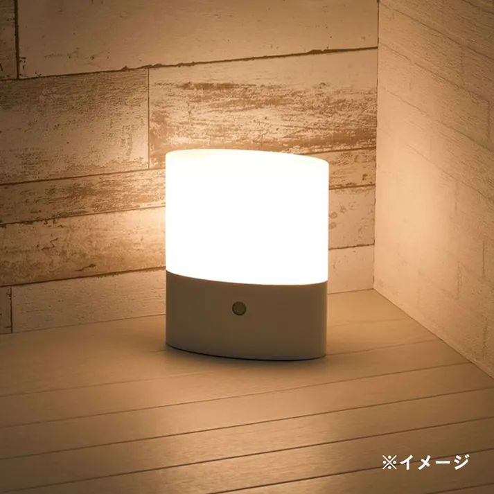 持ち運べるあかりセンサーライト NBSML62WH