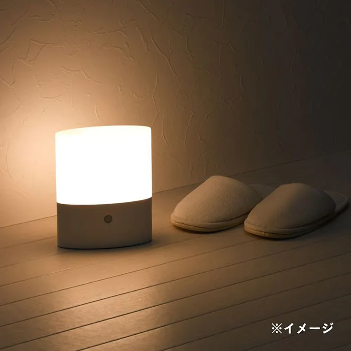 持ち運べるあかりセンサーライト NBSML62WH