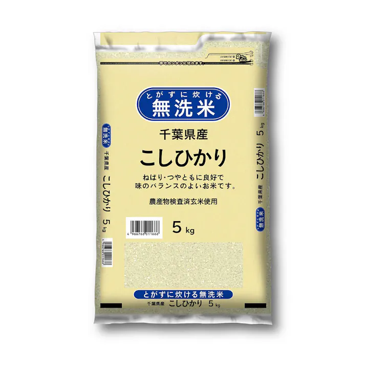 令和6年産 無洗米 千葉県産 こしひかり 5kg【別送品】