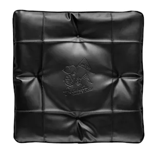 シートクッション スヌーピーチア2 シングル ブラック 5711-06BK