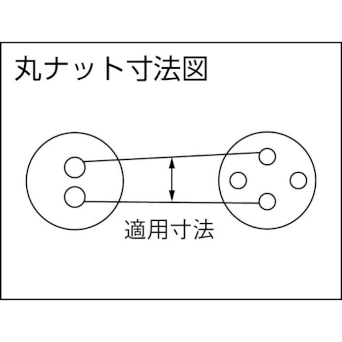 【CAINZ-DASH】スーパーツール ピンスパナ　口開き（ピンの中心）：１８～１００　全長：２５０ｍｍ PW-100【別送品】