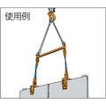 【CAINZ-DASH】スーパーツール パネル吊りクランプ　パネル・梁吊　天秤セット　基本使用荷重０．５ｔ PTC250S【別送品】