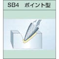 【CAINZ-DASH】スーパーツール スーパー超硬バー　シャンク径６ｍｍ（ポイント型）ダブルカット（刃径：１９．０） SB4C06【別送品】