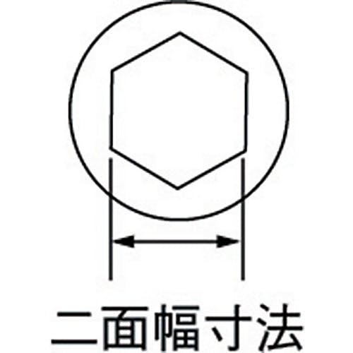 CAINZ-DASH】スーパーツール スイベルパット付ボルト（M20）P：2