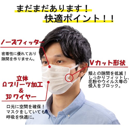 CAINZ-DASH】アイリスオーヤマ 291095 ナノエアーマスク PK