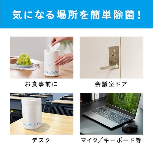 ウェットティッシュ CAINZ-DASH】アイリスオーヤマ 288651 除菌ができるウェット