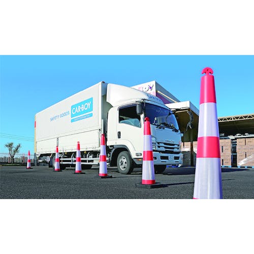 CAINZ-DASH】カーボーイ ラバーウエイト6kg FC-03【別送品】 | 安全