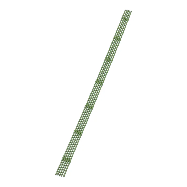 みどり竹 (5P) 75cm
