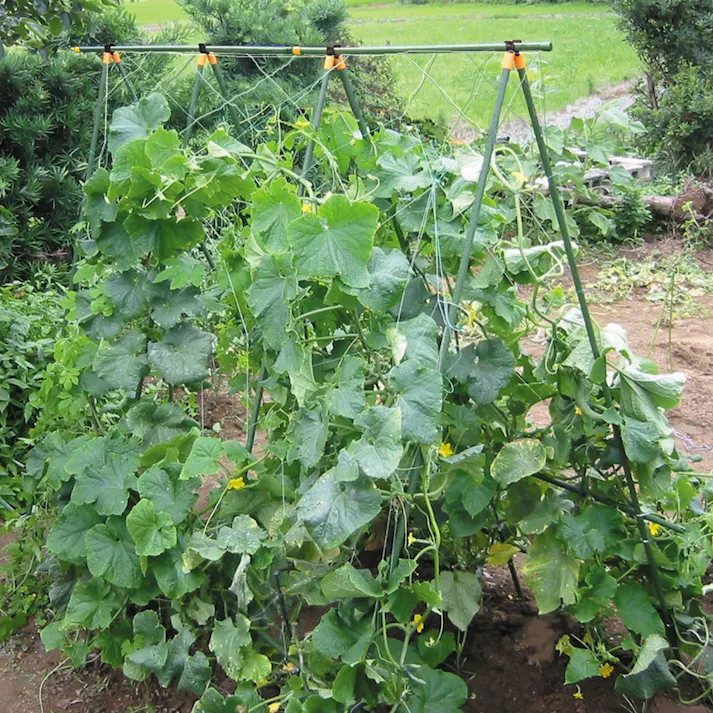 ダイム 棚支柱 16×2100mm