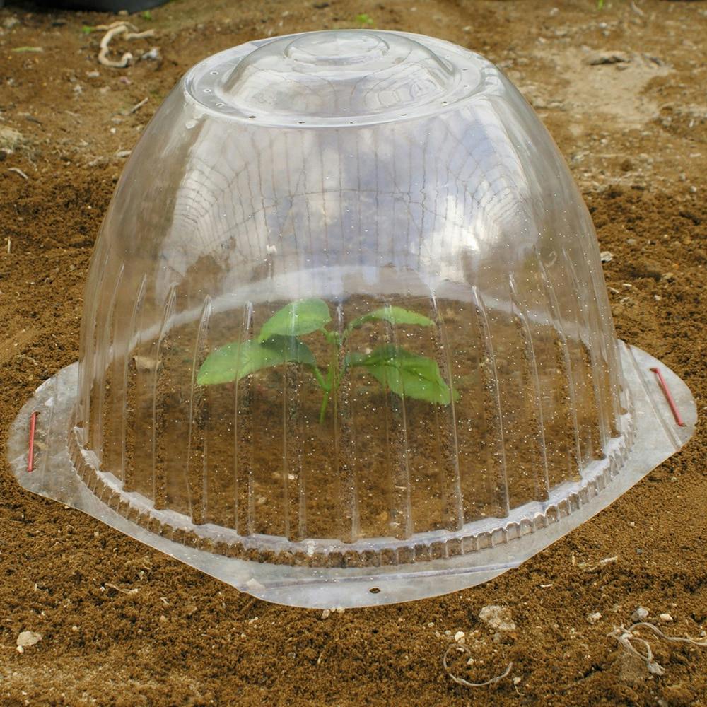専用苗 苗ドーム 小(5P) | 播種・育苗資材 通販 | ホームセンターのカインズ