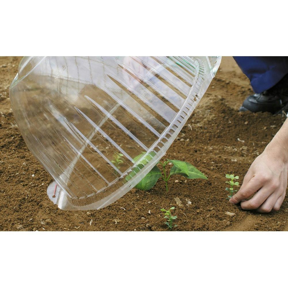 苗ドーム 小(5P) | 播種・育苗資材 通販 | ホームセンターのカインズ