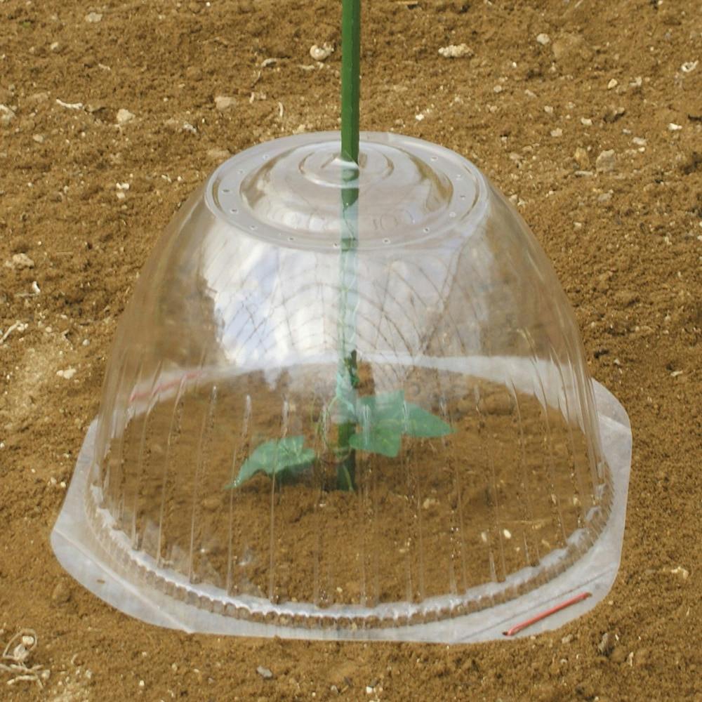 超大苗 苗ドーム 大(5P) | 播種・育苗資材 通販 | ホームセンターのカインズ