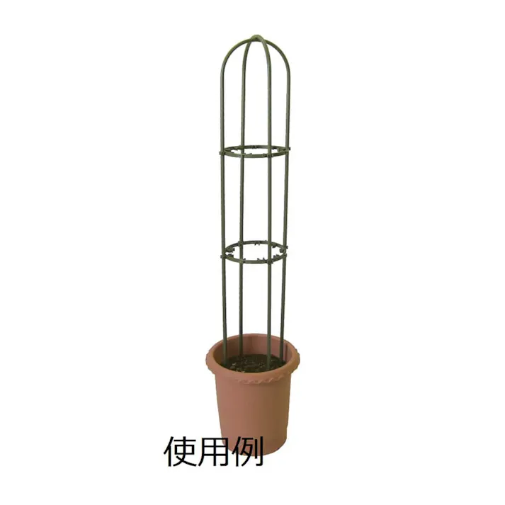 ダイムリング 大 (直径32cm)