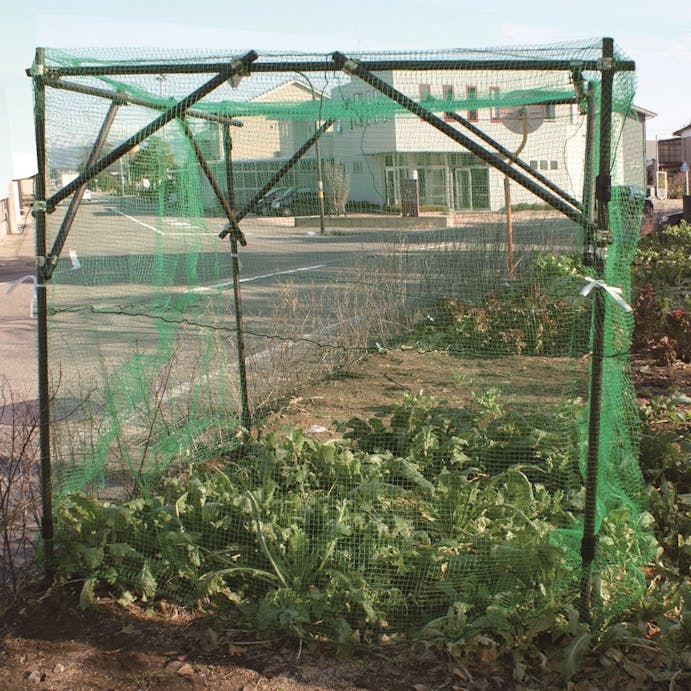 ガーデンアグリパイプφ33×1m