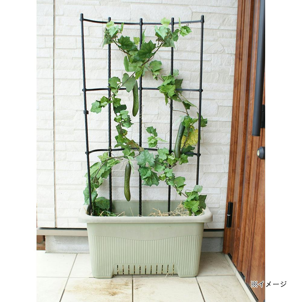 まきまきトレリス 1500mm | 支柱・ネット・ラベル 通販