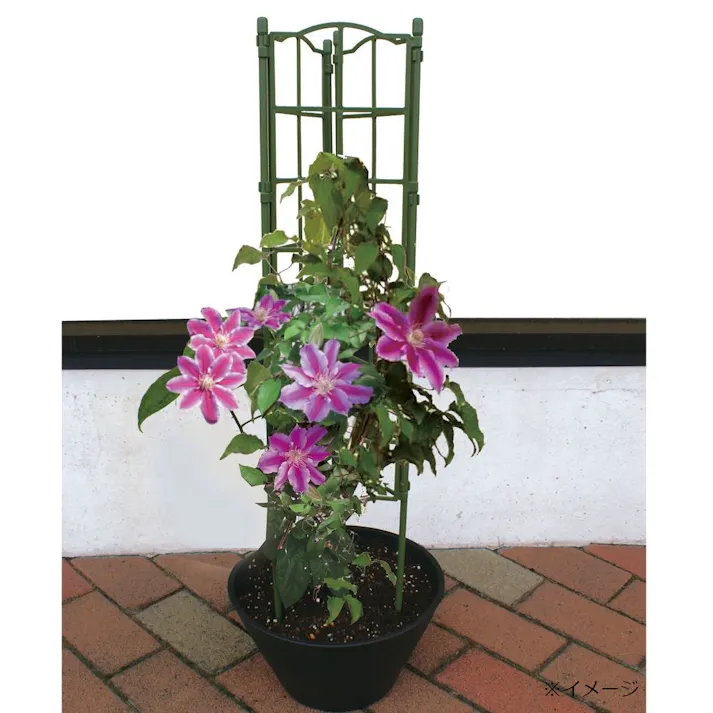 フラワーパネル トリプル