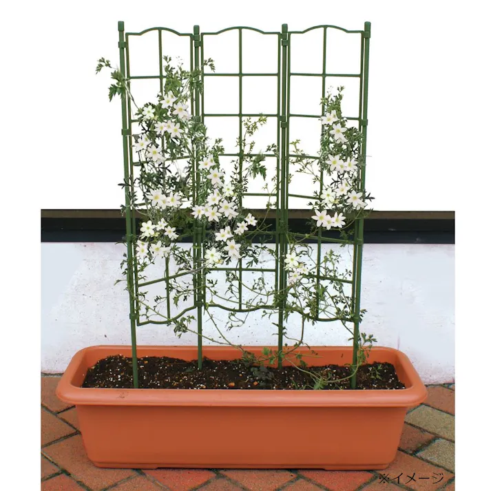 フラワーパネル トリプル