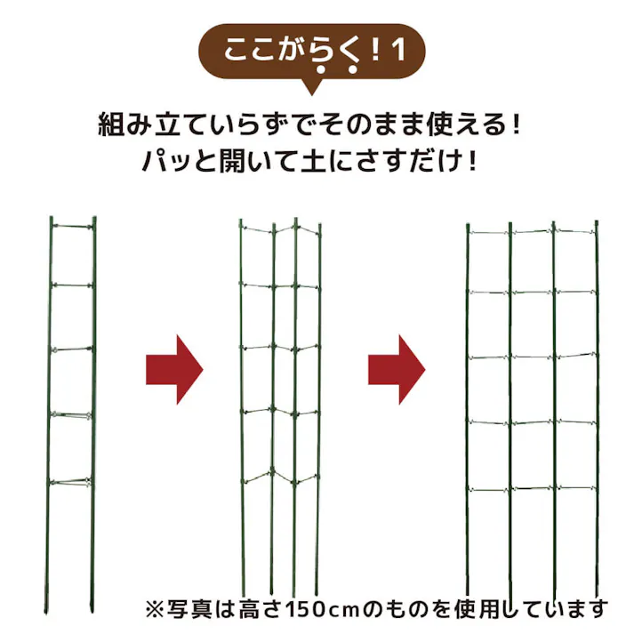 らくだな 11mm×120cm