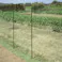 万能杭 20mm×1500mm 5本 パッカー付(販売終了)