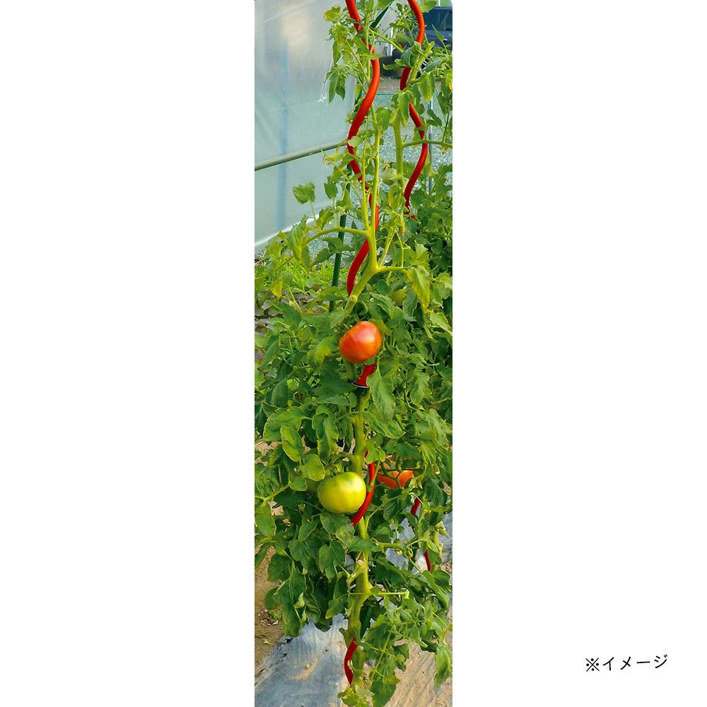 らせんトマト支柱 11×1500 赤 | 園芸用品 | ホームセンター通販