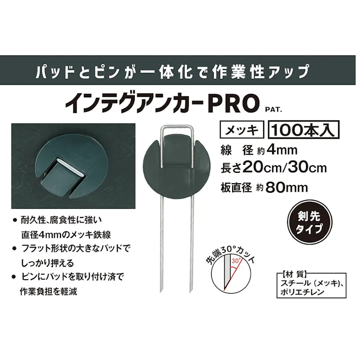 ダイム インテグアンカーPRO 20cm 100本