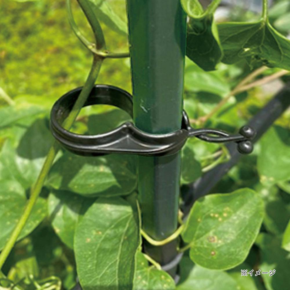 ダイム ひねってキャッチ 16mm用 50個入 | 支柱・ネット・ラベル 通販