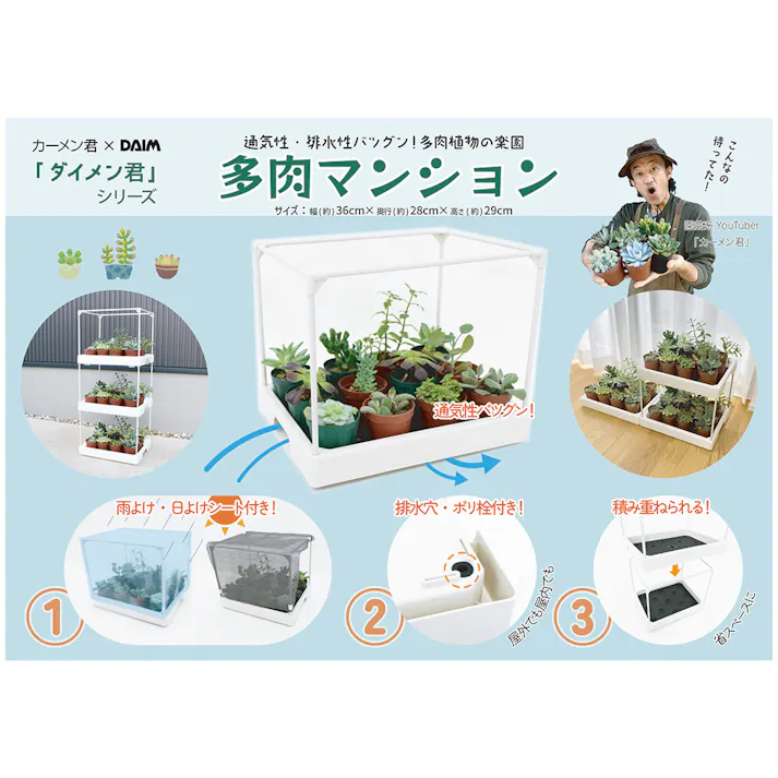 多肉マンション オフホワイト