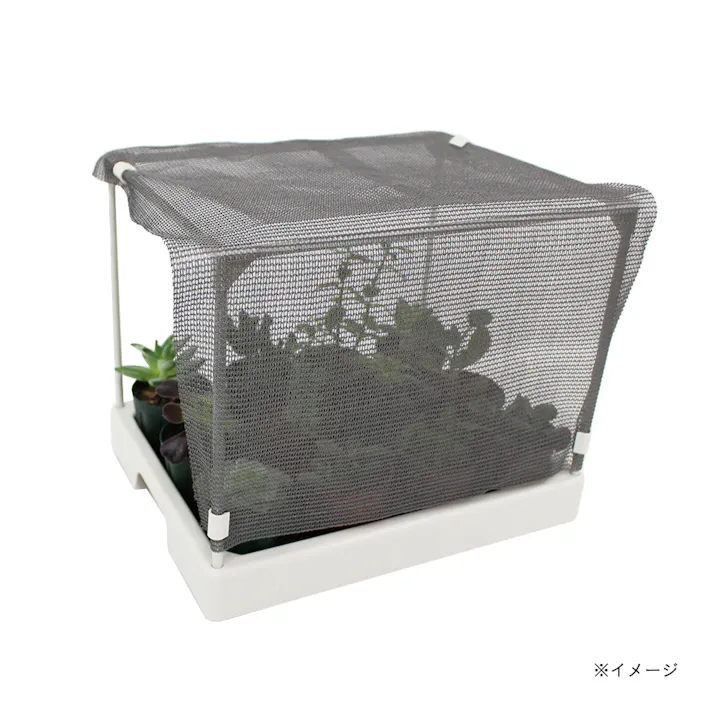 多肉マンション オフホワイト