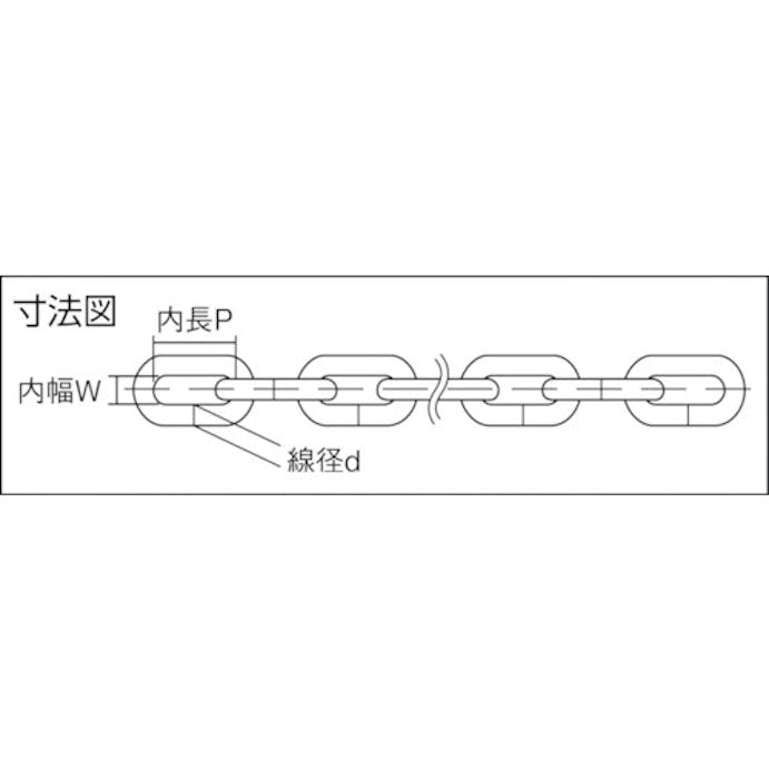 【CAINZ-DASH】ニッサチェイン ステンレスリンクＣタイプ　１．６ｍｍ×３０ｍ SL16【別送品】