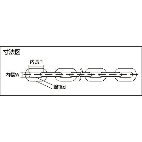 【CAINZ-DASH】ニッサチェイン ＳＵＳ３１６　ヘビーリンクチェイン　３０Ｍ SW1020HG【別送品】