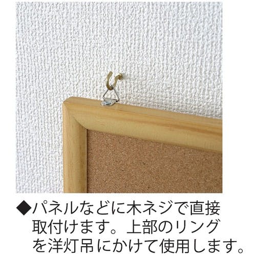 CAINZ-DASH】ニッサチェイン ニッケル鉄ビラカン （500個入） IBR16