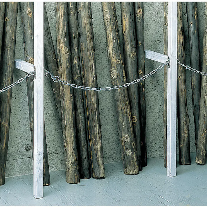 【CAINZ-DASH】ニッサチェイン ハングチェイン座金・フック 2m C-251【別送品】