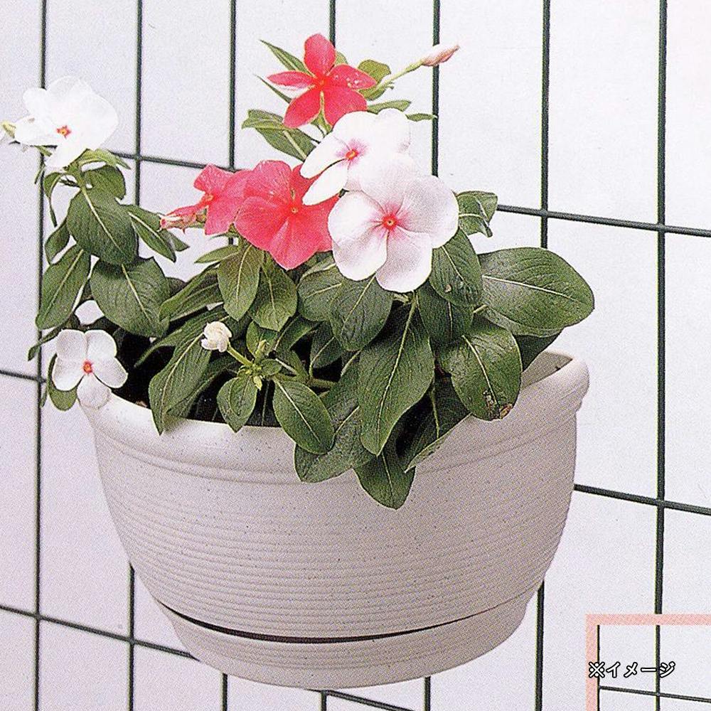 壁掛け 鉢 壁面プランターフック ネット用 | 鉢・プランター・花台・温室 通販