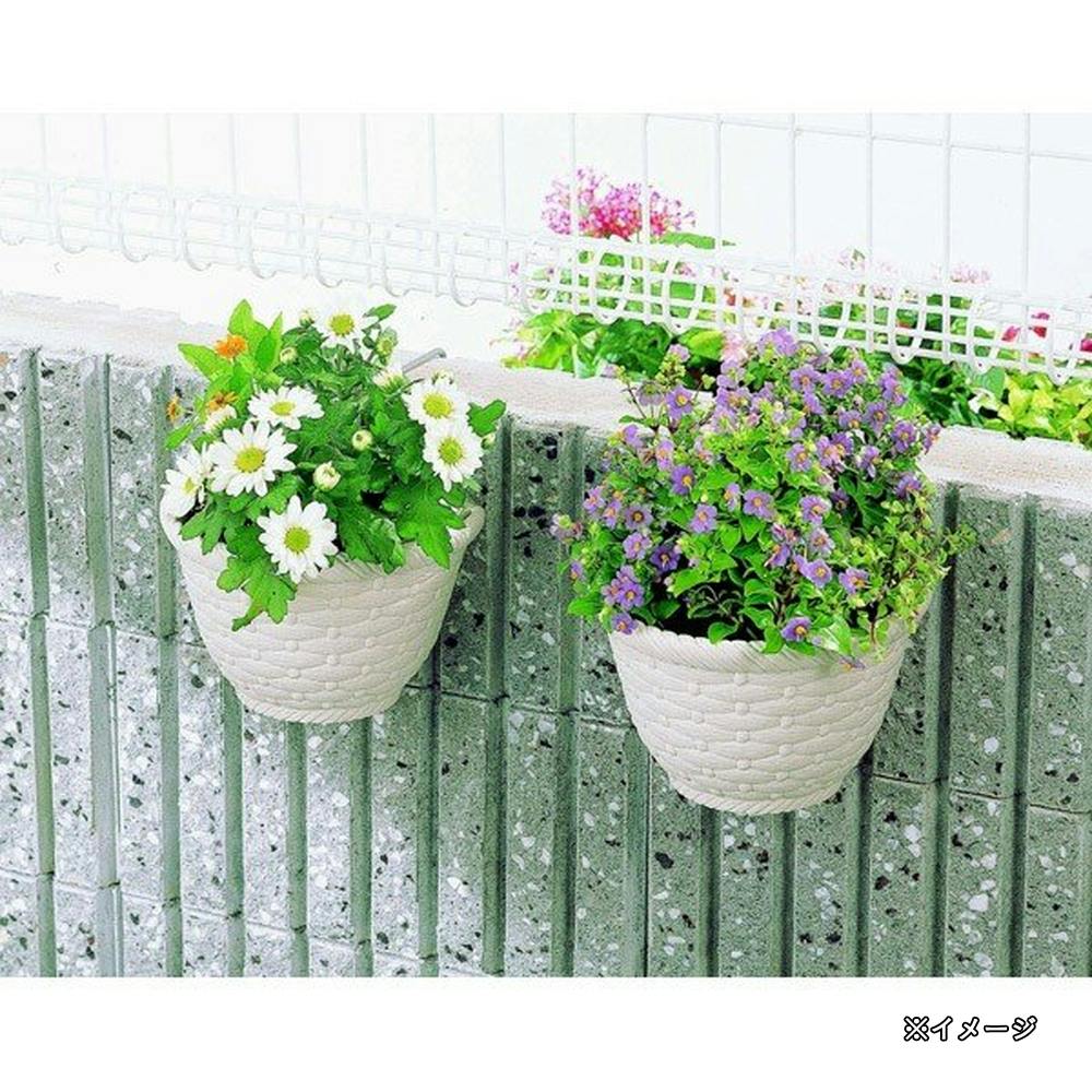 フランフラン 壁かけ花のセット 楽天市場】フランフラン ウォールフラワーの通販