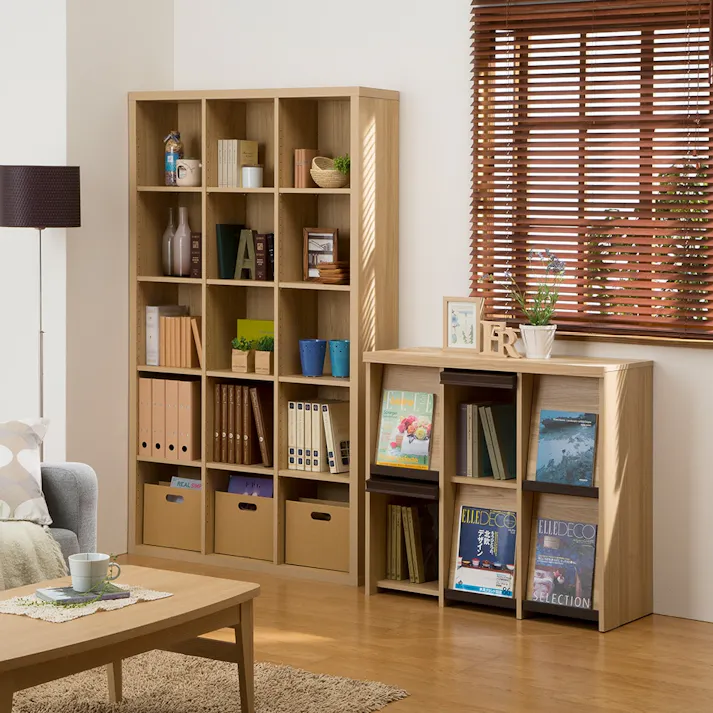 ディスプレイラック セパルテック SEP-9095F NA【別送品】