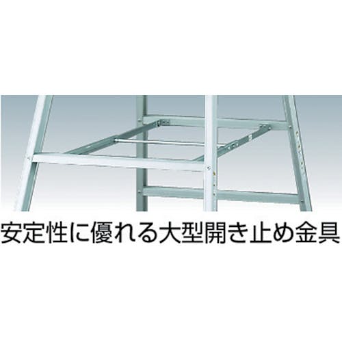 CAINZ-DASH】長谷川工業 アルミ合金製天板幅広専用脚立 天板高さ2 