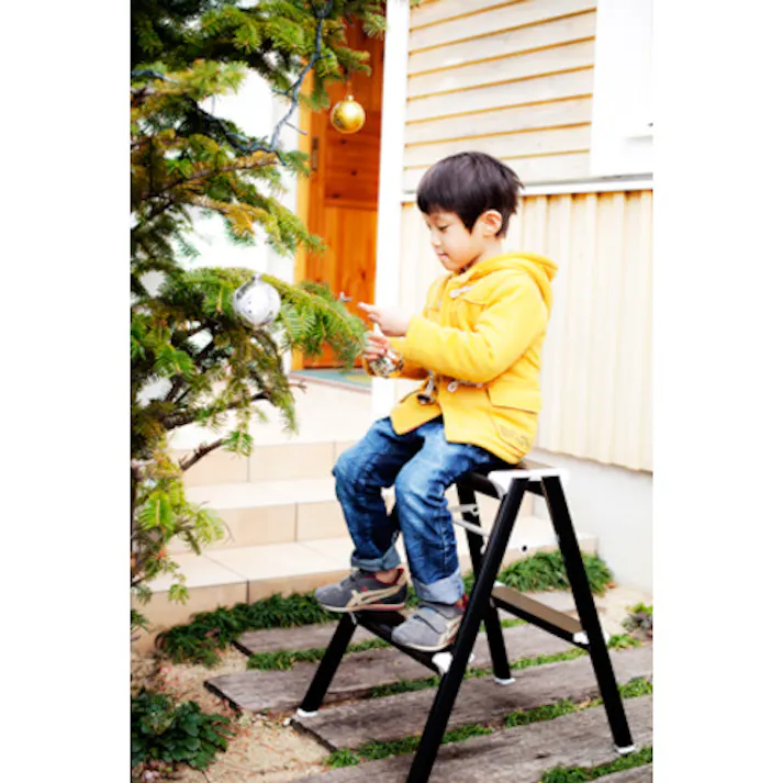 【CAINZ-DASH】長谷川工業 踏み台 強力型 30cm ブラック SK2.0-03BK【別送品】