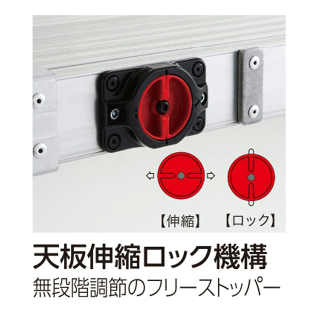 オンラインショップ 長谷川 Hasegawa スノコ式伸縮足場板 スライドステージ SSF1.0-270 両面使用タイプ 2.7M