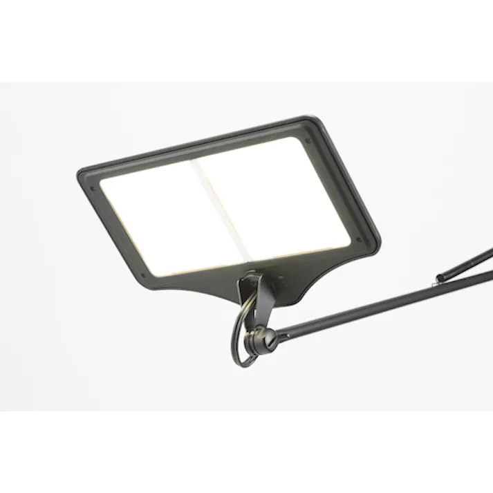 【CAINZ-DASH】スワン電器 OLEDデスクライト 2灯タイプ 電球色 白 LEX-3102WH【別送品】