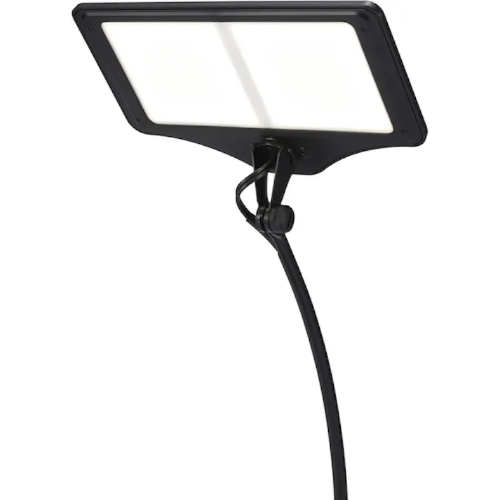 【CAINZ-DASH】スワン電器 OLEDデスクライト 家庭用2灯タイプ 電球色 黒 LEX-3141BK【別送品】