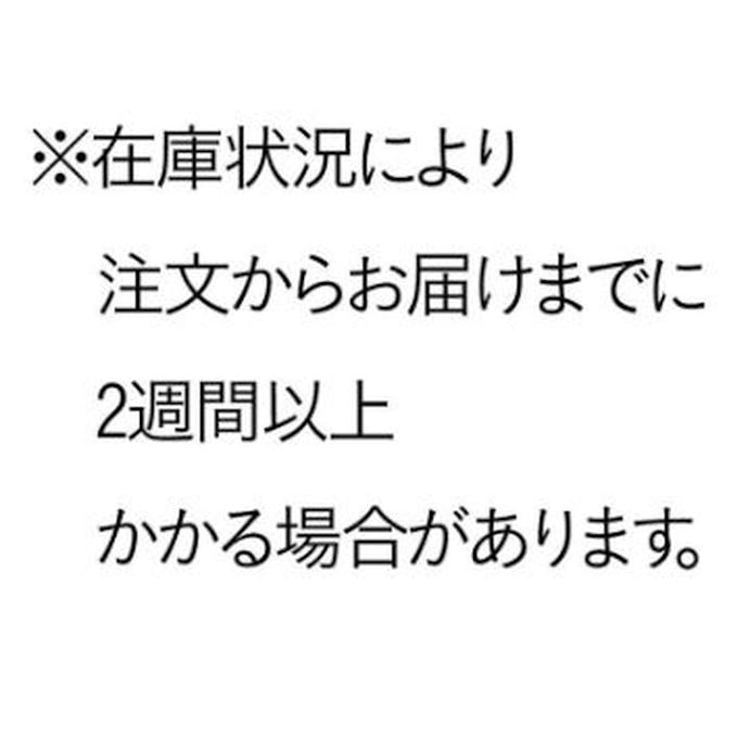 【送料無料】ダイケン 宅配ボックス 専有仕様 SS×2 グレー TBX-G1SSG【別送品】