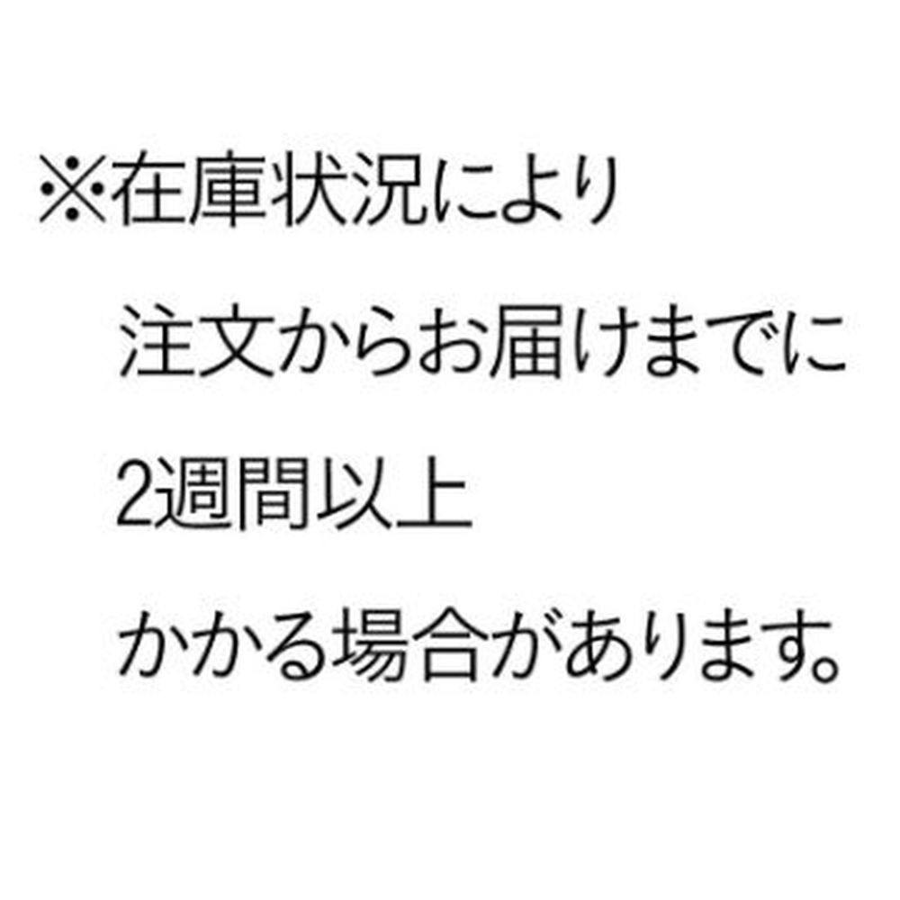 宅配ボックス 幅木 ホワイト オプション 高さ300mm TBX-H300W 幅40cm