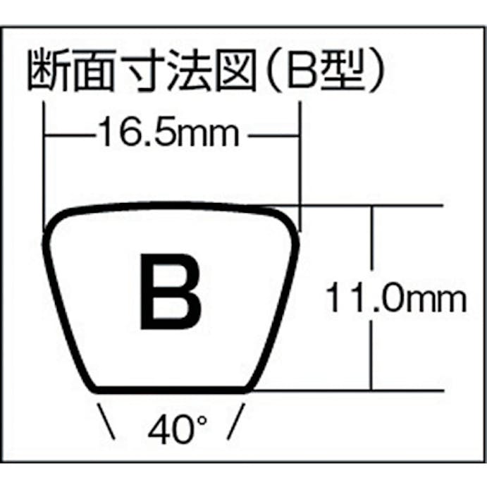 【CAINZ-DASH】三ツ星ベルト 標準型Ｖベルト　呼び番号６０インチ B-60【別送品】